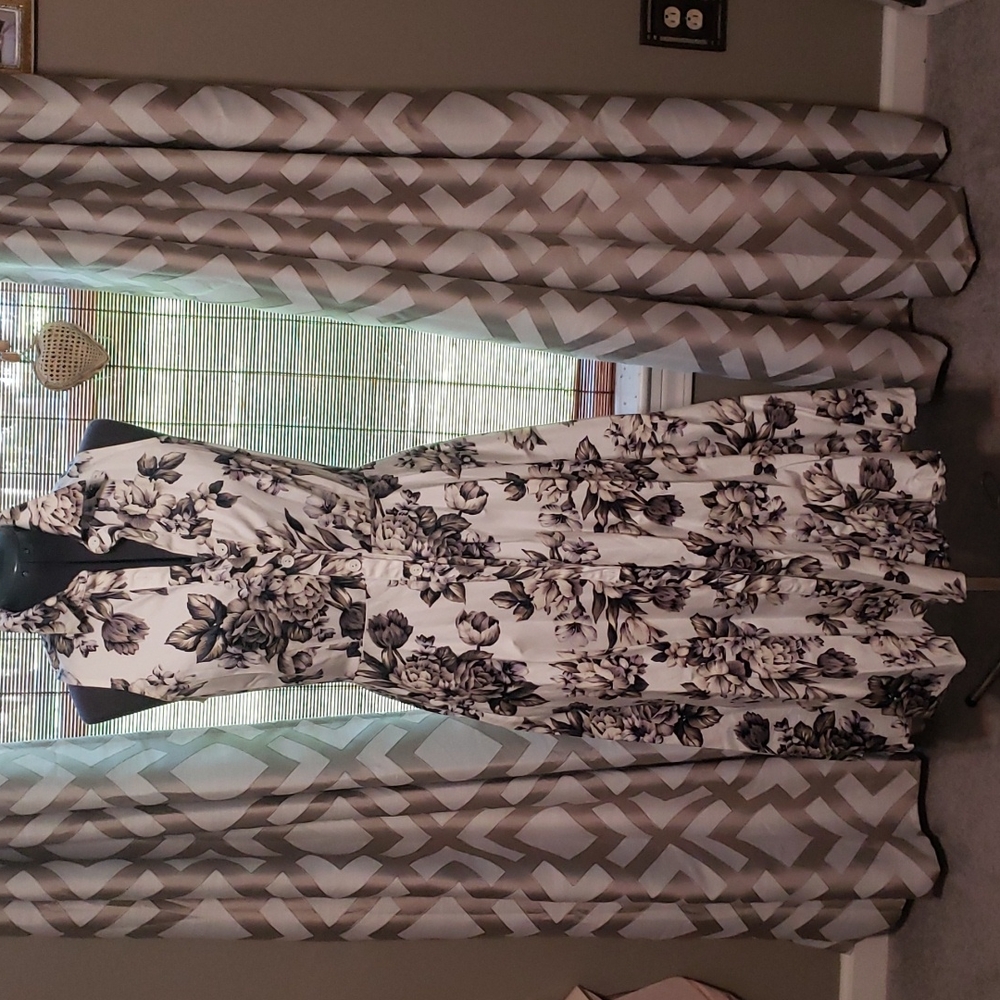 Shirt waist dress